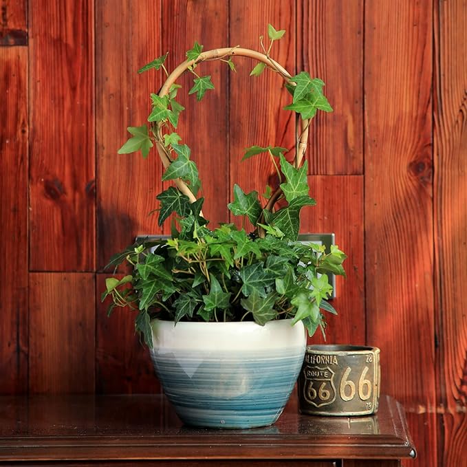 3Pack Bamboo Trellis 16 Inch Round Shaped Small Plant Trellis for Indoor Potted Plants Climbing Monstera Orchid Vine Hoya Houseplant