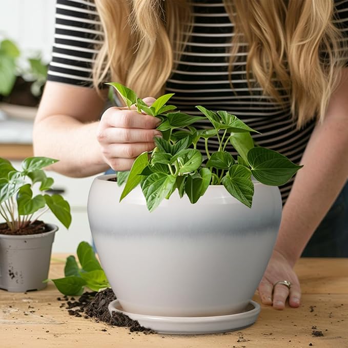 Ceramic Planter - 8 Inch Plant Pot with Drainage Hole and Saucer, Glaze Round Flower Pot for Home Garden Patio Office, White