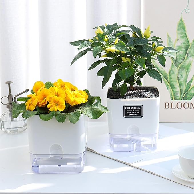 FAMZ Self Watering Planters 4 Pack,Self Watering Pots for Indoor Plants,Automatic Moisturizing,Transparent Square Flower Pot for Indoor and Outdoor Plants,Succulents,Violets,Ivy