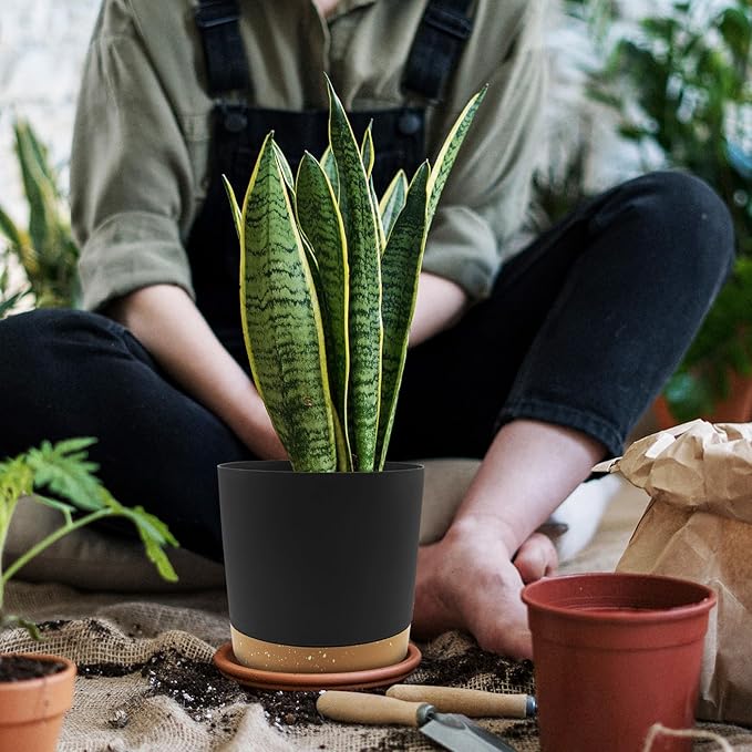 QCQHDU 6.5 inch Plant Pot, 2 Pack Planters for Indoor Plants with Drainage Holes & Saucer, Outdoor Flower Pots Home Garden Modern Decor