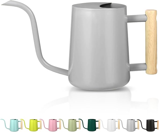 Watering Can Indoor Plants, 35oz Small Indoor Stainless Steel Metal Watering Can Modern Decorative Watering Pot with Long Spout for Indoor House Plant Bonsai Garden Flowers (Gray)