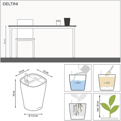 Lechuza 14900 Deltini Self-Watering Planter for Indoor and Outdoor Use, 6" x 6" x 7", White
