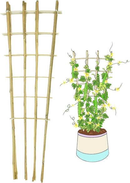 Natural Bamboo Trellis, 4.8Feet,3Pack,Fan-Shaped Plant Support Trellis for Outdoor and Indoor Potted Climbing Plants,Vegetables, Cucumber, Tomato, Hoya,