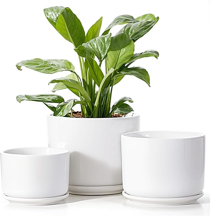 EFISPSS Plant Pots, 4+5+6 Inch Pots for Indoor Plants, Ceramic Planter Pot with Drainage Hole, Flower Pots for Succulent Cactus, Set of 3 - White