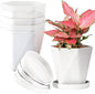 InmeRun Plant Pots Indoor Plastic Flower Pots Outdoor 7 inch Set of 6 Pack with Drainage Holes and Saucers for Garden Pots (7 in 6 White)