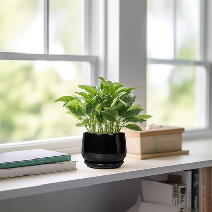 G EPGardening Small Ceramic Planter - 4 Inch Succulent Pots with Drainage Hole & Sacuer, Flower Pots for Indoor Outdoor Plants, Modern Decorative Round Planter, Room Decor, House Warming Gifts, Black
