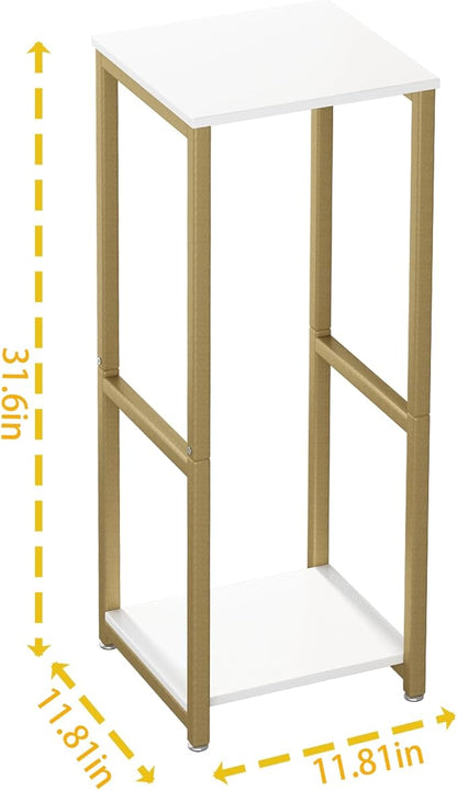 Plant Stand Indoor Corner Tall 2 Tier Metal Modern Flower Storage Plant Shelf Holder for Living Room Balcony Garden,Gold (2 Tier-Gold)