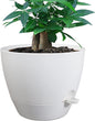 12inch Self Watering Pots, Plastic Planters with Mesh Drainage Holes and Deep Reservoir for Indoor Outdoor Garden Plants and Flowers, White