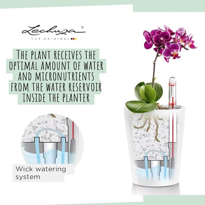 Lechuza MINI-DELTINI Charcoal Metallic, Self-Watering Small Indoor Planter, H5.1 L3.9 W3.9 in