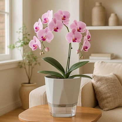 6 Pack Self Watering Plant Pots 5 Inches Self Watering Planters for Indoor and Outdoor Plants African Violet Self Watering Pots Clear Pots for Plants Herb Orchid Flower Houseplant Pots, Light Grey