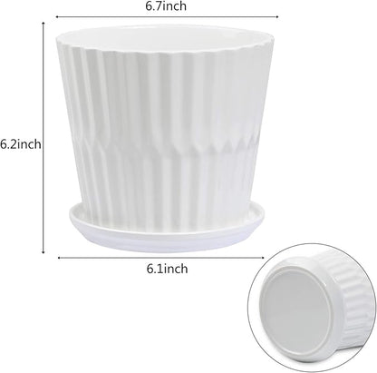 Plant Pots - 6.7 Inch Cylinder Ceramic Planters with Connected Saucer, Pots for Succuelnt and Little Snake Plants, Set of 2, White