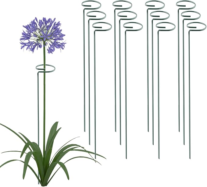 24 Inch 12 Packs Plant Support Stakes,Garden Single stemmed Plant Support Hoops, Plant Prop, for Flowers,Orchid, Tomatoes Peony Lily Rose (24 inch)