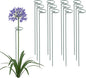 24 Inch 12 Packs Plant Support Stakes,Garden Single stemmed Plant Support Hoops, Plant Prop, for Flowers,Orchid, Tomatoes Peony Lily Rose (24 inch)
