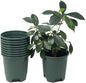 5.5 Inch Gardening Flower Pots 10-Pack Green Pot Liners 0.5 Gallon Nursery Pot Plastic Planters for Outdoor Indoor Plants with Drainage Holes