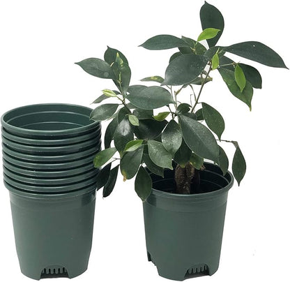 30-Pack Wholesale Nursery Pot in Bulk 5.5 Inch 0.5 Gallon Plastic Planters for Outdoor Indoor Plants Gardening Flower Pots with Drainage Holes Color Green