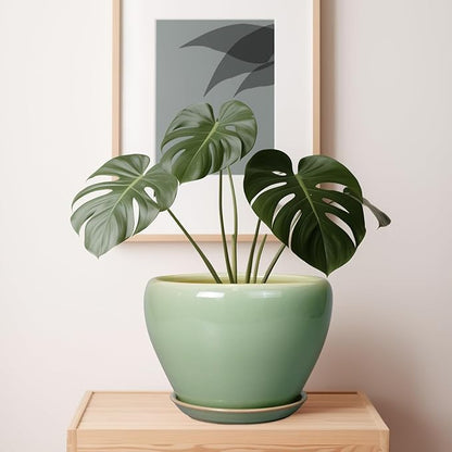 Ceramic Planter Pot - 10 Inch Plant Pot for Indoor Plants Decorative Planter with Drainage Hole and Saucer Large Pot for Plants Outdoor Round Flower Pot for Garden Green