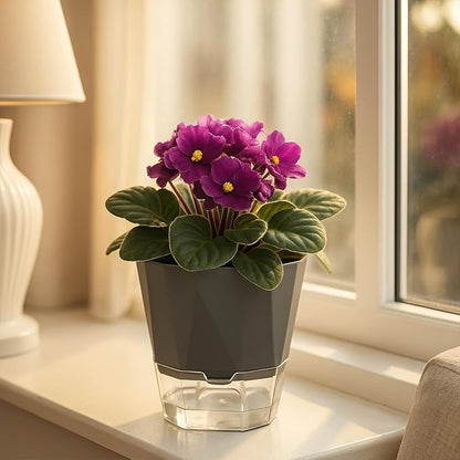 5 Pack Self Watering Pots for Indoor Plants, 6.7 Inches Self Watering Planters African Violet Pots Clear Pots for Herb Orchid Flower Houseplant, Dark Grey
