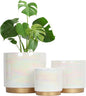 Gepege White Indoor Pots for Plants, Ceramic Planter with Drainage Hole, 9.6inch+7.6Inch+6Inch. Succulent Orchid Flower Pot - Rainbow Pearl Glaze