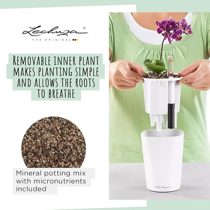 Lechuza DELTINI Shiny Taupe High Gloss, Self-Watering Small Indoor Planter, H7.5 L5.9 W5.9 in