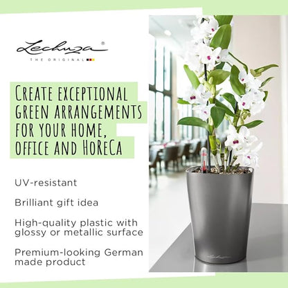Lechuza 14903 Deltini Self-Watering Planter for Indoor and Outdoor Use, 6" x 6" x 7", Charcoal