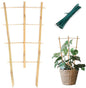 Bamboo Trellis 10 Pack, 16in Fan-Shaped Plant Trellis Indoor for Climbing Plants