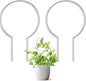 2 Pack Round Plant Trellis for Potted Plants Indoor Outdoor, Acrylic Small Trellis for Climbing Plants, Plant Support for Hoya Pothos Vine Ivy Monstera Flower Philodendrons Dischidia