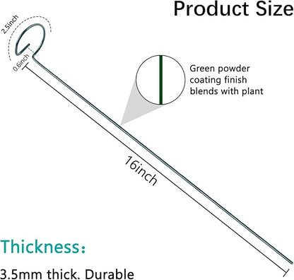 12 Pack 16 Inch Plant Support Stakes, Metal Single stemmed Flower Support Hoops，Garden Plant Stakes Plant Prop for Amaryllis Orchid Lily Rose Peony Tomatoes Gladiolus