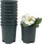4 Inch Nursery Pot Green Plastic Planters for Outdoor Indoor Plants Gardening Flower Pots 10-Pack 0.25 Gallon Pot Liners with Drainage Holes