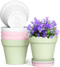 5 Inch Plastic Plant Pots with Drainage Holes and Trays – 6 Pack Small Nursery Pots for Indoor & Outdoor House Plants and Flowers, Seedling Starter Planters, Colorful