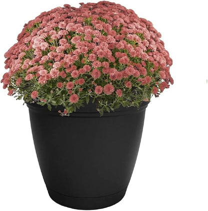 The HC Companies Eclipse Round Planter with Saucer - Outdoor & Indoor Plant Pot with Drainage Holes - Lightweight, UV-Resistant Plastic Pots for Plants, Flowers & Herbs (8" Black, Pack of 1)