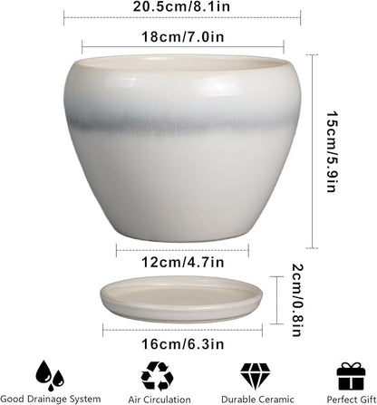 Ceramic Planter - 8 Inch Plant Pot with Drainage Hole and Saucer, Glaze Round Flower Pot for Home Garden Patio Office, White