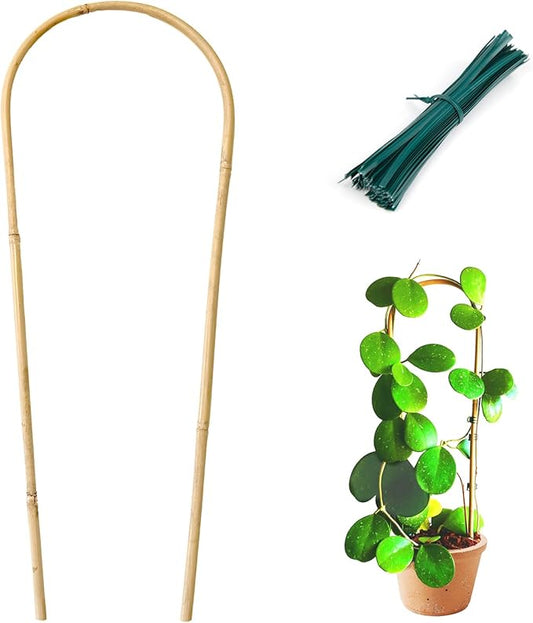 Indoor Plant Trellis for Climbing Plants 16in, 6 Pack Arch Bamboo Trellis for Potted Plants