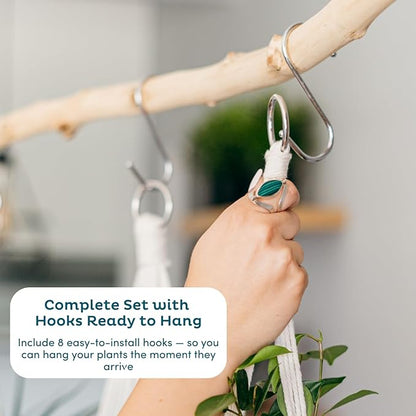 Nook Theory 4-Pack Macrame Plant Hangers with 8 Hooks - Hanging Planters for Indoor Plants, Boho Macrame Hangers Indoor Outdoor, Decorative Plant Hanger Indoor (Pearl)