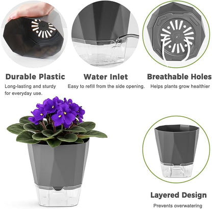 6 Pack Self Watering Pots for Indoor Plants, 5 Inches Self Watering Planters African Violet Self Watering Clear Pots for Plants Herb Orchid Flower Houseplant, Dark Grey