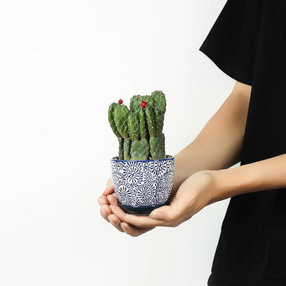 Selamica Ceramic Succulent Pots, 3.5 Inch Small Plant Pots for Indoor Plants Cactus Herbs, Succulent Planters with Drainage Holes & Saucers, Home Decor, Set of 6, Vintage Blue