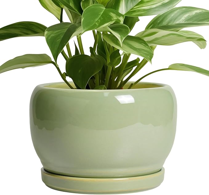 SQOWL 8 Inch Plant Pot - Ceramic Planters with Drainage Hole and Tray, Round Flower Pot for Indoor Plants, Modern Decorative Planters Outdoor, Garden Decor, Housewarming Gifts, Green