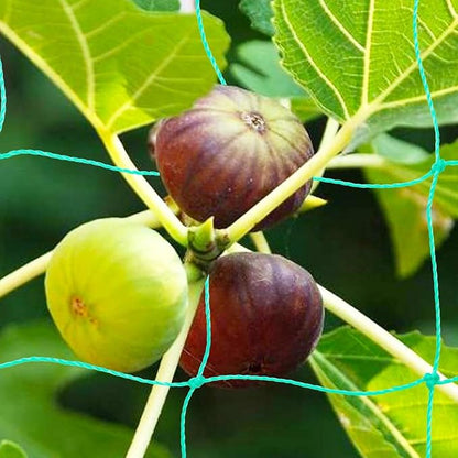 Pack of 2 Cucumber Tomato Trellis Netting, Heavy Duty Garden Netting for Climbing Plants Support, Pea, Grape, Bean, Fruit, Vegetables - 4" Mesh Size, 6Ft x 9Ft