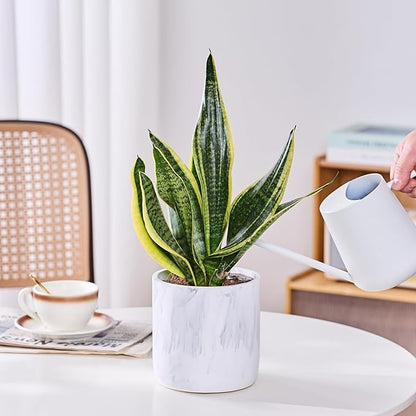 Ekirlin 6 Inch Resin Plant Pot Indoor - Natural Marble Texture Garden Planter with Drainage Hole, Removable Rubber Stopper and Non-Slip Soft Pad, Modern Succulents Containers for Home, Outdoor