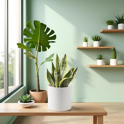 Docrin Ceramic Planters Indoor, 8 Inch Plant Pot with Drainage Holes for Home/Office - White Honeycomb