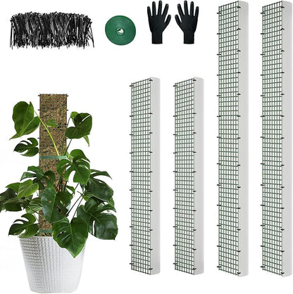 60"/40"/24" Metal Moss Pole, D Shape Sphagnum Moss Pole, Moss Poles for Climbing Plants, Monstera, Indoor Climbing Plants (2 Each of 40" 24")