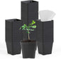 June Fox Square Nursery Pots 3.3 Inches Flexible Plastic Seedling Pots Square Pots for Plants, Succulent, Flower, Pack of 60, with 60 PCS Plant Labels