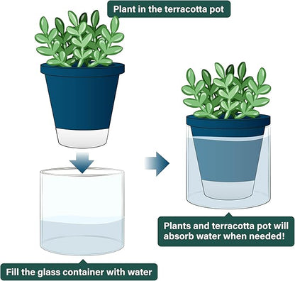 D'vine Dev 4 Inch Design Self Watering Planter for Indoor Plants, Blue Terracotta Pot with Cylinder Glass Cup, Set of 4, 37-Z-A-4-F