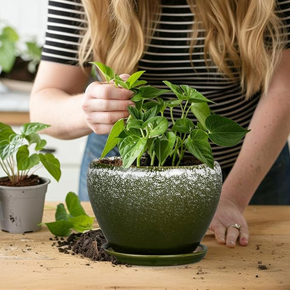 6 Inch Plant Pot - Ceramic Planter Pot with Drainage Hole and Saucer, Glaze Succulent Pot Modern Round Flower Pot for Indoor Plants, Dark Green