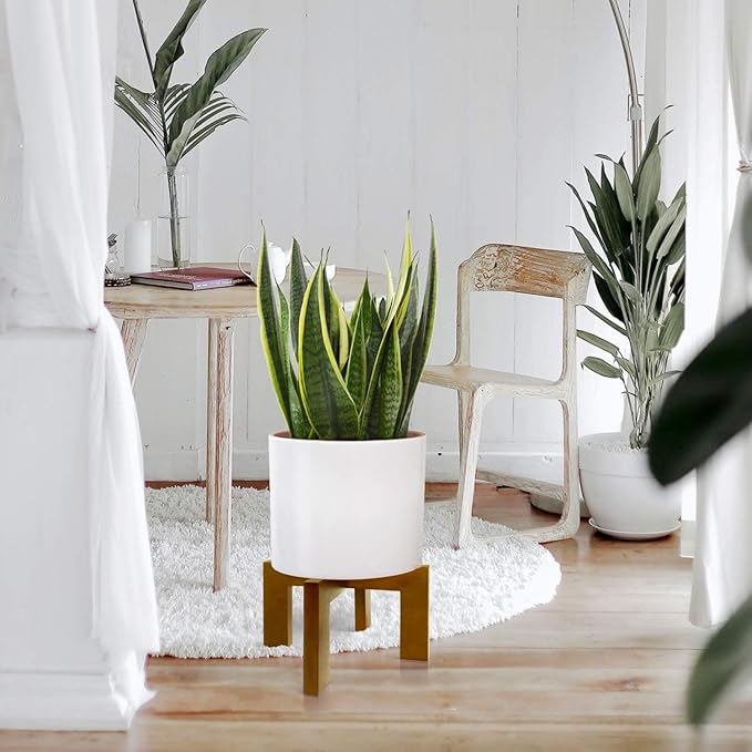 2 Pack Plant Stand Indoor Outdoor, Mid Century Plant Stand for Indoor Plants, Wood Modern Plant Holder Rattan Flower Plant stool, Low Short Boho Rustic Planter Stand, Fit 5-15 Inch Pot