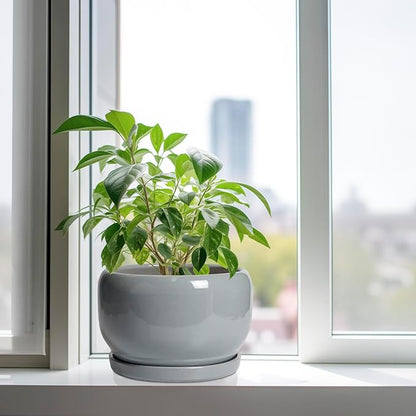 SQOWL 10 Inch Plant Pot - Ceramic Planter for Indoor Plants, Round Ceramic Flower Pot with Drainage Hole and Saucer, Modern Large Outdoor Planter, Room Decor, Housewarming Gifts, Gray