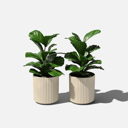 Veradek Demi Series Round Planter for Porch, Patio, Backyard | Durable Plastic-Stone Composite Material | Modern Décor for Tall Plants, Flowers