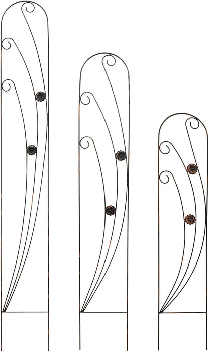 Arcadia Garden Products TR07 Phoenix Trellis Size: 4', Black