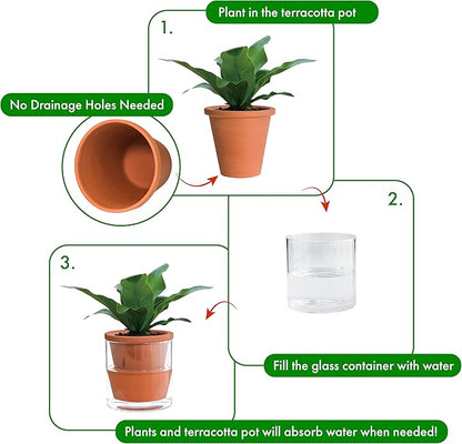 D'vine Dev 4 Inch Design Self Watering Pot for Indoor Plants, Terracotta Planter with Cylinder Glass Cup, Set of 3, 37-Z-A-1-T