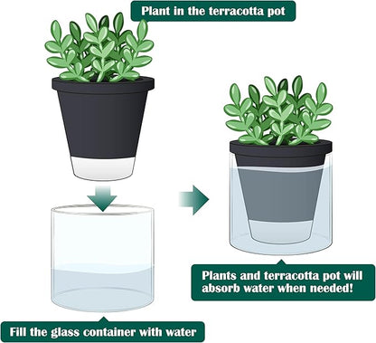 D'vine Dev 4 Inch Design Self Watering Planter for Indoor Plants, Black Terracotta Pot with Cylinder Glass Cup, 37-X-A-3