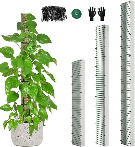 60"/40"/24" Metal Moss Pole, D Shape Sphagnum Moss Pole, Moss Poles for Climbing Plants, Monstera, Indoor Climbing Plants (1 Each of 60" 40" 24")